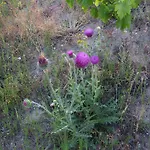 Konukevi Anatolia Cave