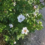 Anatolia Cave Göreme