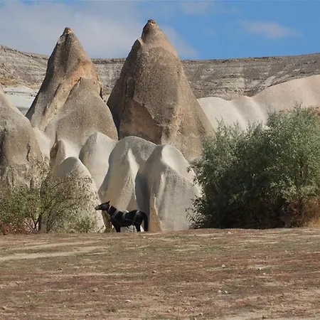 Anatolia Cave 2* Göreme
