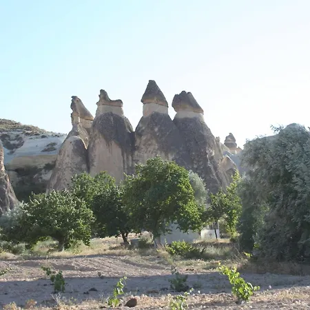 Anatolia Cave