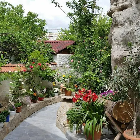 Anatolia Cave Gæstehus