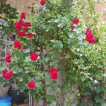 Affittacamere Anatolia Cave 2*