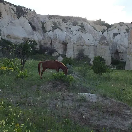 Anatolia Cave Göreme