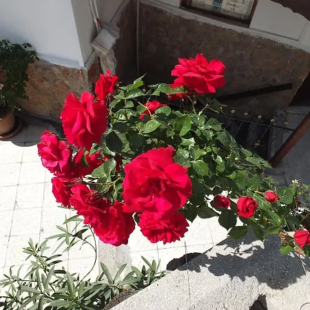 Anatolia Cave Affittacamere 2*