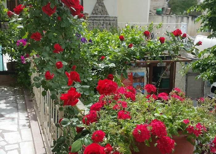 ゲストハウス Anatolia Cave ギョレメ