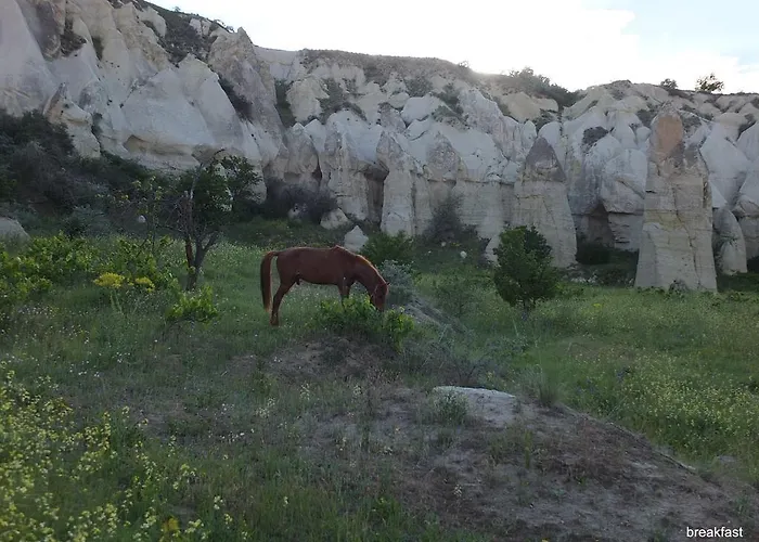 Anatolia Cave Göreme