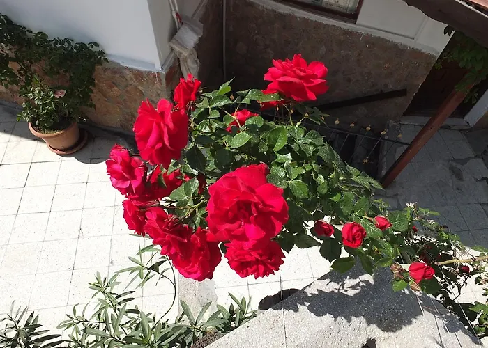 Anatolia Cave ゲストハウス 2*